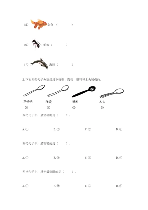教科版小学二年级上册科学期末测试卷（重点班）.docx