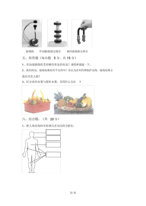 青岛版二年级科学上册期中考试(新版)