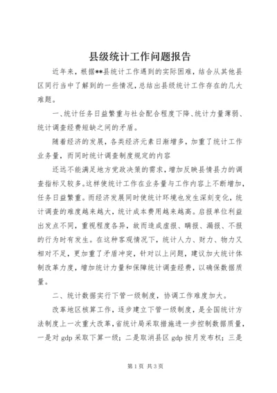 县级统计工作问题报告 (3).docx