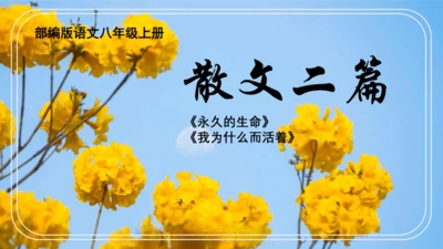 16.散文二篇 课件