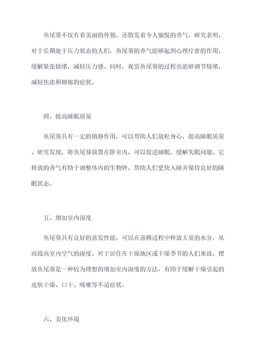 鱼尾葵的功效和作用