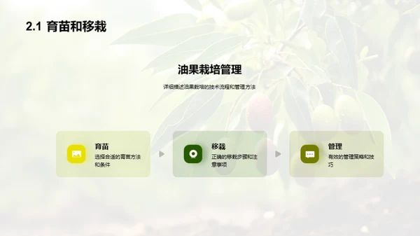 油果种植之全方位解析