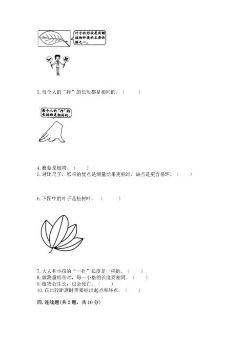 教科版一年级上册科学期末测试卷（各地真题）.docx