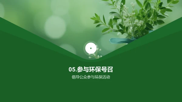 双十一环保行动