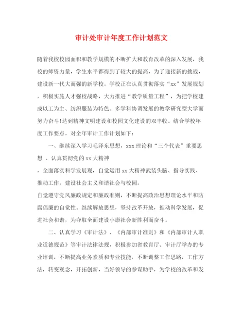 精编之审计处审计年度工作计划范文.docx