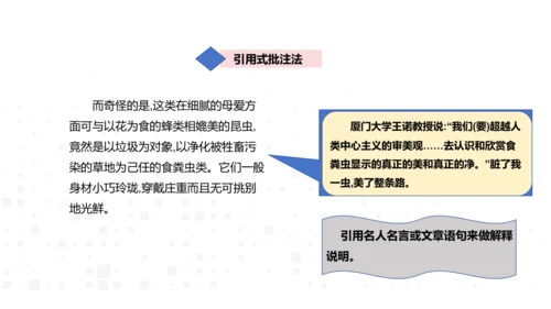 八年级上册语文 第五单元 名著导读《昆虫记》导读 课件