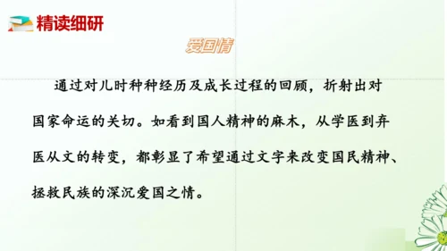 七年级语文上册第三单元整本书阅读《朝花夕拾》课件
