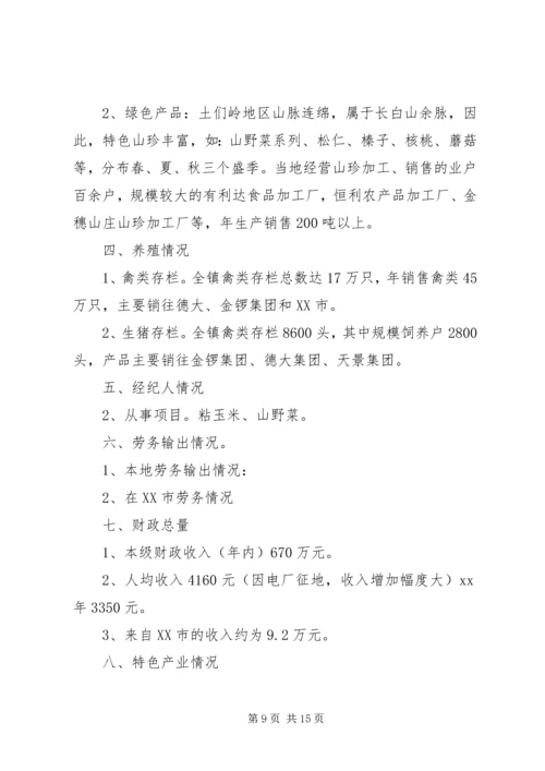 乡镇调研报告范例.docx