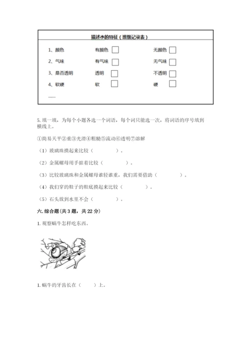 教科版一年级下册科学期末测试卷及答案【全优】.docx