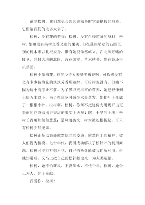 借物喻人的作文600字松树.docx