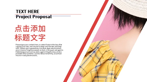 618电商狂欢节方案策划通用PPT模板