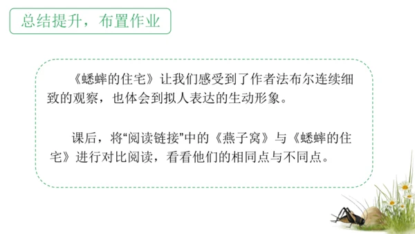 11 蟋蟀的住宅（课件）