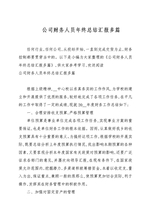 公司财务人员年终总结汇报多篇