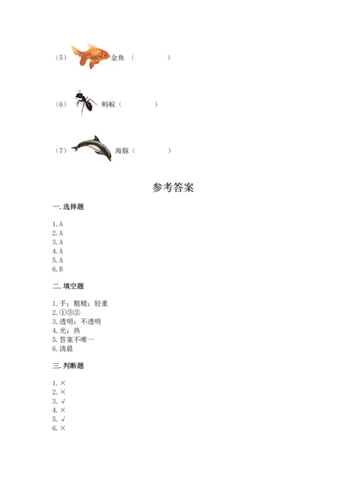 教科版科学二年级上册《期末测试卷》附答案【培优a卷】.docx