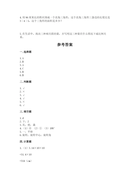 北师大版数学六年级下册期末测试卷精品（能力提升）.docx