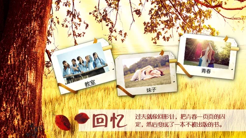 致青春绿茵绿墙下单车同学聚会通用PPT电子相册