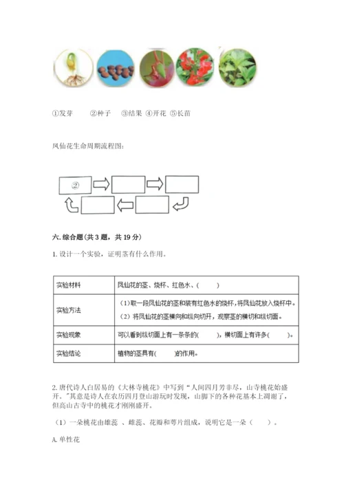 教科版科学四年级下册第一单元《植物的生长变化》测试卷及答案（全优）.docx