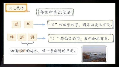 【核心素养】部编版语文四年级下册-5.琥珀 第1课时（课件）