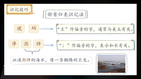 【核心素养】部编版语文四年级下册-5.琥珀 第1课时（课件）