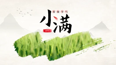 传统节气小满一抹绿色通用PPT模板