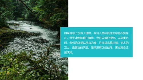 保护环境主题教育班会课程汇报PPT模板