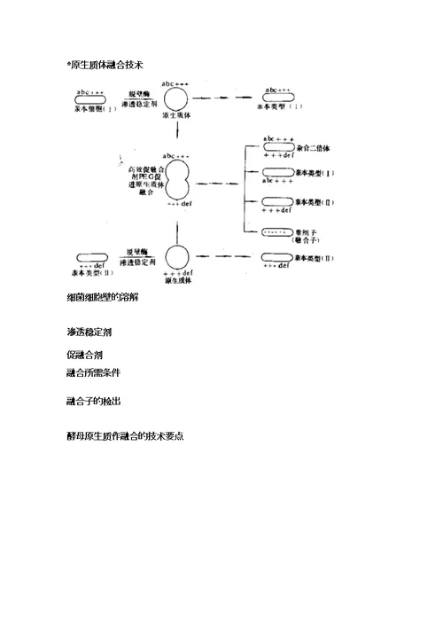 细胞工程小结