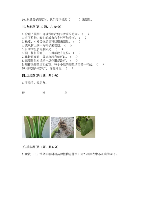 教科版一年级上册科学期末测试卷及参考答案