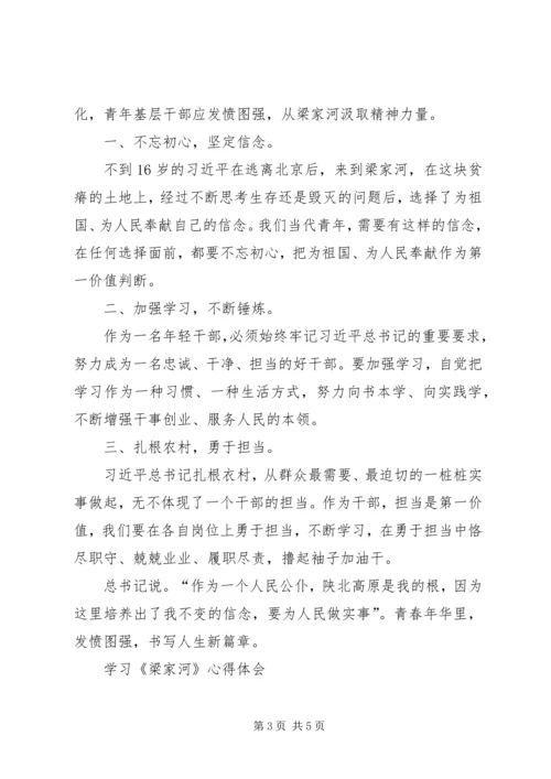 学习纪实文学《梁家河》心得体会 (5).docx