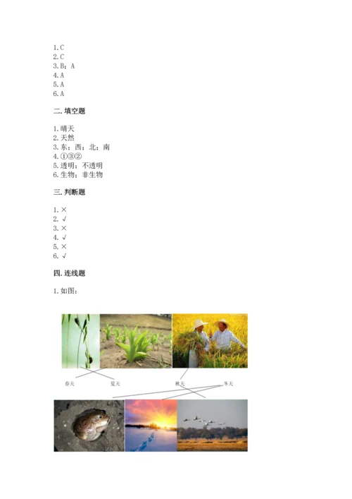 教科版二年级上册科学期末测试卷精品【模拟题】.docx