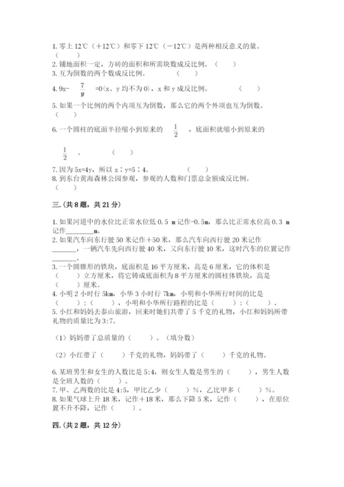 苏教版数学六年级下册试题期末模拟检测卷含答案（完整版）.docx