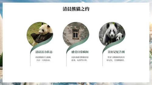 绿色插画毛毡风可爱熊猫城市旅游攻略PPT模板