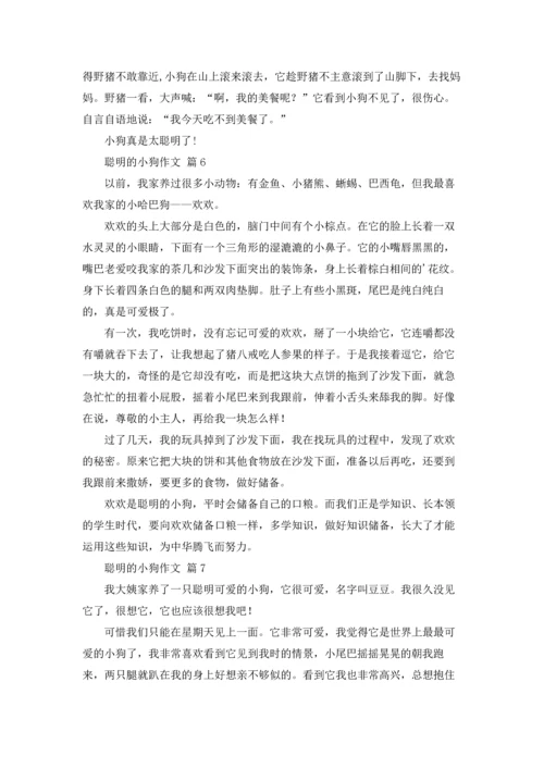 关于聪明的小狗作文锦集十篇.docx