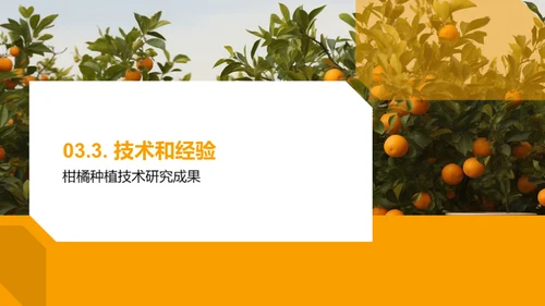 柑橘产业：未来之路