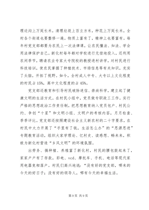 村党支部典型事迹 (6).docx