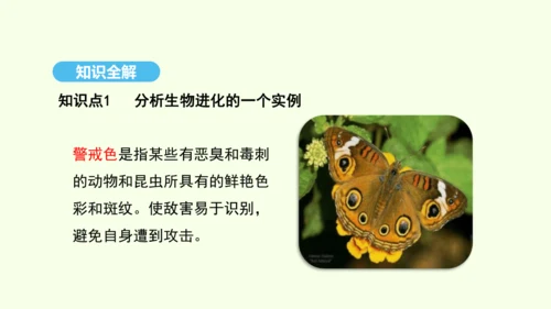 7.3.3生物进化的原因课件-人教版生物八年级下册(共37张PPT)