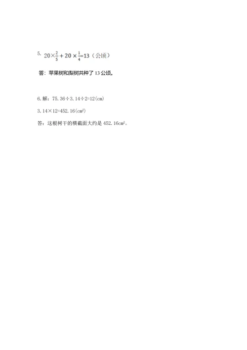 人教版六年级上册数学期末测试卷附答案【巩固】.docx