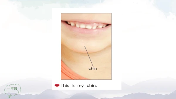 Unit 2 Face Lesson 3 课件共32张PPT)