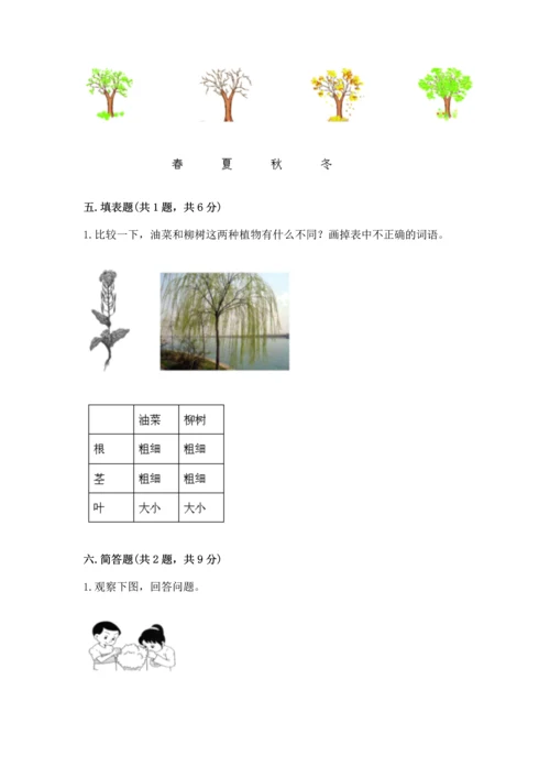 教科版科学一年级上册第一单元《植物》测试卷及完整答案（精品）.docx
