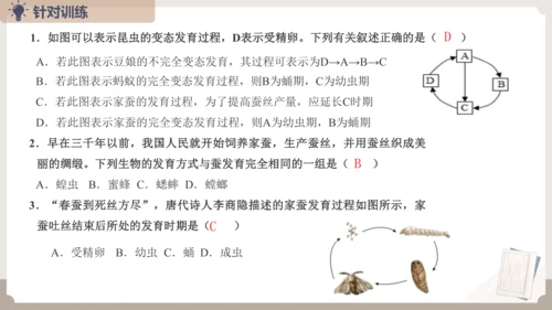 复习专题五生物的生殖和发育（串讲课件）-八年级生物上学期期末考点大串讲（人教版）(共20张PPT)