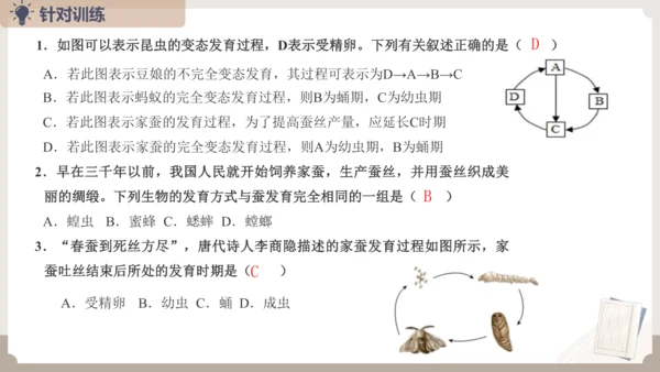 复习专题五生物的生殖和发育（串讲课件）-八年级生物上学期期末考点大串讲（人教版）(共20张PPT)