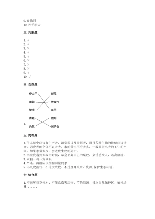 教科版科学五年级下册第一单元《生物与环境》测试卷带答案（综合卷）.docx