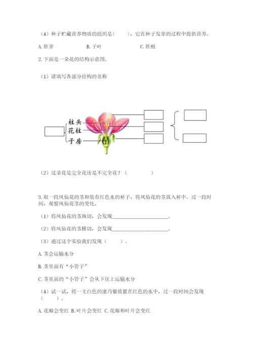 科学四年级下册第一单元植物的生长变化测试卷含答案【满分必刷】.docx