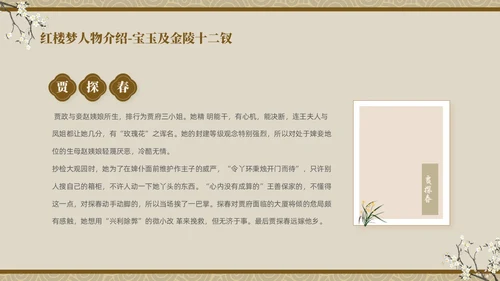 褐色复古中国风中国四大名著之红楼梦人物介绍PPT