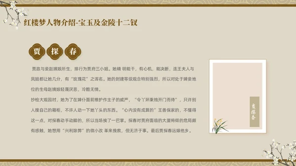 褐色复古中国风中国四大名著之红楼梦人物介绍PPT