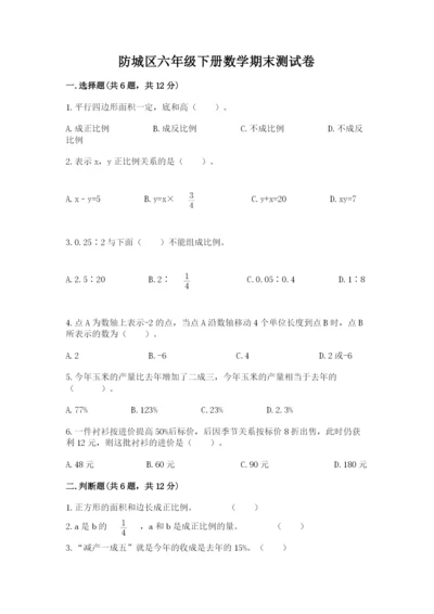 防城区六年级下册数学期末测试卷及一套完整答案.docx
