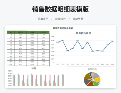 销售数据明细表模版