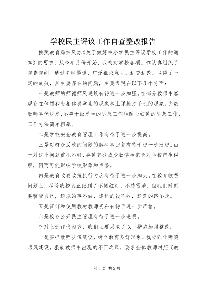 学校民主评议工作自查整改报告.docx