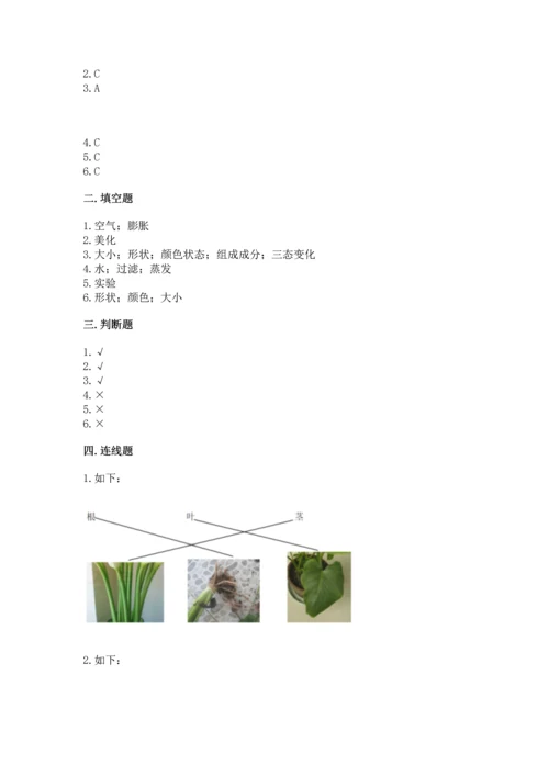 教科版科学一年级上册第一单元《植物》测试卷（全优）word版.docx