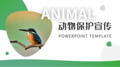 绿色自然生态动物保护宣传通用PPT模板