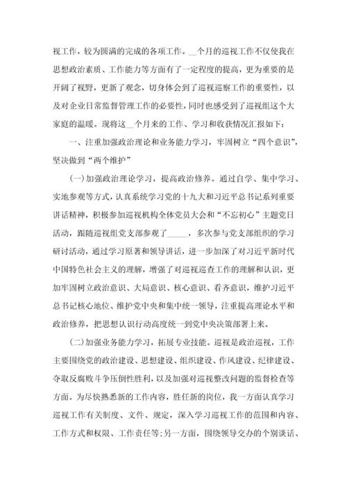 个人巡视工作心得体会范文五篇.docx